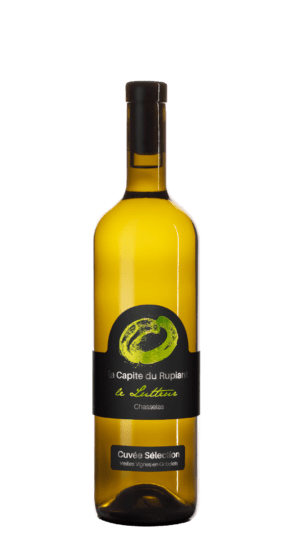 Le Lutteur, Chasselas de la Guérite du Rupiant, vieilles vignes en gobelets